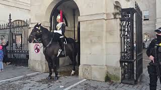 Horse has a spin out moment horseguard [upl. by Gombach]