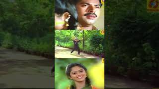 പൂവേ പൂവേ പൊൻ പൂവേ  Poove Poove Ponpoove  Poovinu Puthiya Poonthennal  Malayalam Movie Song [upl. by Uttasta471]