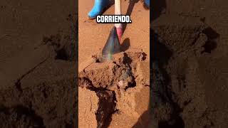 Esta cosa del desierto puede hacerte millonario😮 shortsvideo [upl. by Omrelliug944]