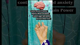 Simple Hands Exercise Improve Memory Prevents dementia braingame dementia brainpower [upl. by Vez]