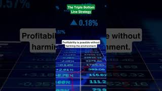 The Triple Bottom Line Strategy [upl. by Attenev]