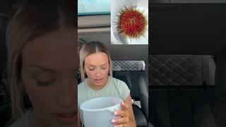 Tasting a sea urchin for the first time ytshorts [upl. by Guntar]