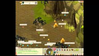 DOFUS SH PVP FOUDEBOUM JE SEP UN 197 [upl. by Milman]