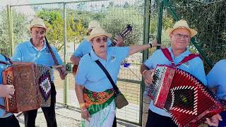 Grupo de Concertinas de Ponte de Lousa 4 Barrenta [upl. by Eimor]