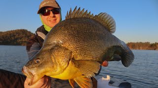 Windamere dam  Golden Spring Yellas  COD by catches [upl. by Thessa]