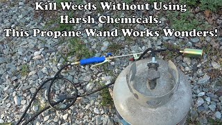 Chemical Free Weed Killer This Propane powered wand destroys weeds without chemicals or weeding [upl. by Eon]