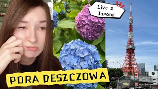 WIELKA ZMIANA 🔴LIVE Z JAPONII [upl. by Anwadal]