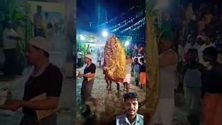 Muharram sawari Walandi huseni basha jalsa 2024 full desi style main [upl. by Rockafellow]