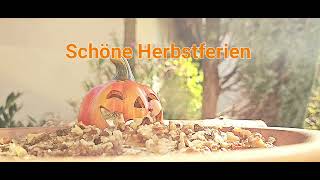 Schöne Herbstferien [upl. by Kiersten]