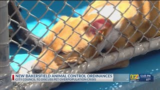 New Bakersfield animal control ordinances [upl. by Asillim969]