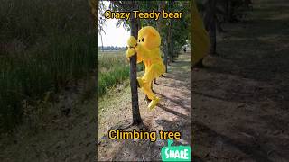 comedy crazy crazyteddy comedyprank comedyvideo comedyprank Teady bear climbing tree [upl. by Charmane]