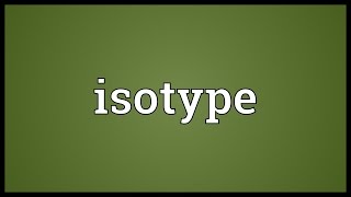 Isotype Meaning [upl. by Laemaj635]