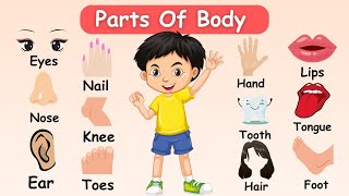 English Vocabulary  Body Parts Name in English  Body Parts Name  Basic Body Parts [upl. by Nick]