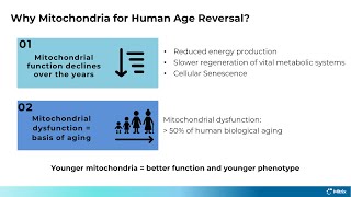 Human Age Reversal through Mitochondrial Transplantation [upl. by Ahtenak]