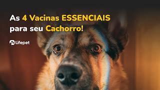 Conheça as Vacinas Indispensáveis para a Segurança do Seu Cachorro [upl. by Yumuk]