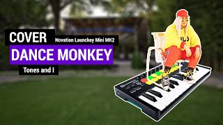 Dance Monkey  Tones and I Cover Novation Launchkey Mini MK2 [upl. by Velick]