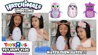 Toys R Us Toy Hunt Hatchimals Unboxing Watch as they Hatch [upl. by Navada]