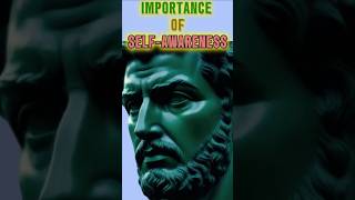 IMPORTANCE OF SELF AWARENESS 2024goals selfimprovement stoic viralshorts viralshort stoicism [upl. by Atwekk]