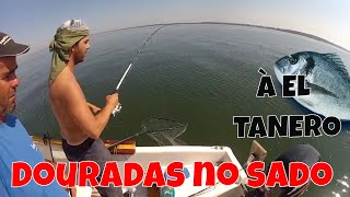 PESCA À DOURADA NO RIO SADO  JOAO BEJA E DOURADA XL [upl. by Valeta276]