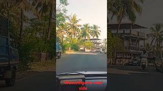 Beautiful view of coconut tree nature travel coconuttree love goalove the pahadi club [upl. by Nesahc]