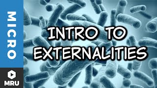 An Introduction to Externalities [upl. by Ahtaga571]