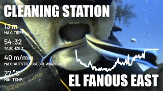 El Fanous East Cleaning Station [upl. by Nolaj]