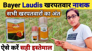 खरपतवार का 100 नियंत्रण  laudis herbicide  bayer laudis  best corn herbicide spray  laudis [upl. by Ellinad]