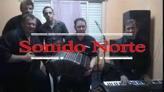 sonido norte BANDONEON [upl. by Assetnoc]