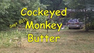 Cockeyed Monkey Butter [upl. by Marie-Jeanne418]