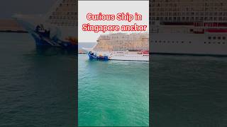 The Intriguing Ship of Singapore Port A Nautical Explorationquot [upl. by Nehtan]