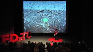 TEDxTC  Terrie Rose  From the Babys Point Of View [upl. by Anelat937]