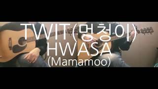 HWASAMamamoo  TWIT Guitar Cover [upl. by Elder]