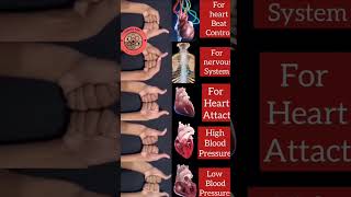 Hand exercises for organsTo be a healthy acupresurepadampur youtubevedio healthyorgan [upl. by Adnerb]