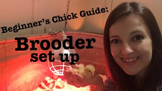 Beginner’s Guide to Raising Chicks  Brooder Set Up [upl. by Fabrice]