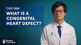 What is a congenital heart defect  Boston Children’s Hospital [upl. by Aire902]