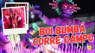 BOI CORRE CAMPO  APRESENTAÇÃO OFICIAL  26072024  festivaldosbois2024 [upl. by Fairlie]