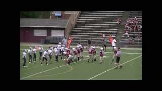 Ambridge Vs Rochester Mighty Mite Football Highlights [upl. by Ynattirb]