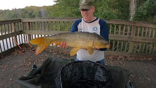 Fall Carp Fishing Family Picnic  Carp amp Catfishing Tips for bank fishing [upl. by Aitekram]