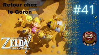 Zelda Echoes of Wisdom 41  Retour chez les Gorons  Le Village Réuni [upl. by Yrrok]