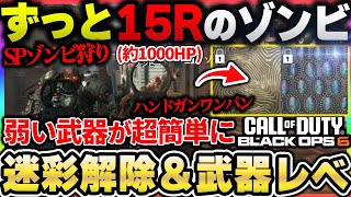 【CoDBO6】15ラウンドの弱いゾンビに固定！！『新アプデで追加のガイド』が迷彩解除と武器レベル上げに最適な件！スペシャルゾンビのおすすめ稼ぎも！【CallofDutyBlackOps6】 [upl. by Rory]