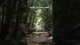 Discover The Royal National Park Sydney’s Hidden Gem [upl. by Irbua]