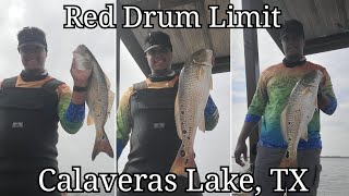 Calaveras Lake TX  First Red Drum Limit [upl. by Tali607]