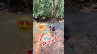 Nadi pe bnya natural pond😍bhot sare shrimps🦞crabs🦀fish🐠🐡release kyeshortsfeedshortsminivlog [upl. by Tegdig603]