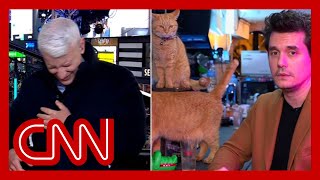 Anderson Cooper completely loses it as John Mayer dials in from a cat bar [upl. by Floro959]