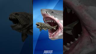 Who Would Win Dunkleosteus vs Megalodon [upl. by Mikiso]