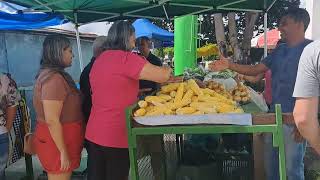 Feira de LuziâniaGoiás [upl. by Ailekat]