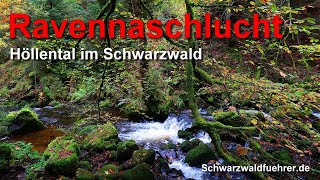 Ravennaschlucht  Höllental im Schwarzwald [upl. by Tnomyar332]