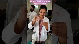 PhytoChemical Test for Carbohydrates doctor science medical knowledge college hospital video [upl. by Goodrich]