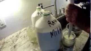 How to separate cream from raw milk [upl. by Zusman500]