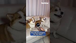 Backstairs Billy  Interview with the Queen Mother’s corgis [upl. by Ennagroeg]